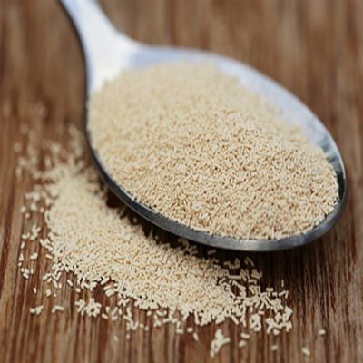 what2-yeast2_11zon